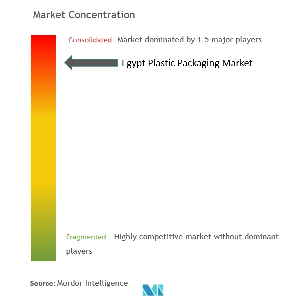 Envases de plástico de EgiptoConcentración del Mercado