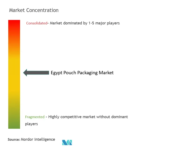 Egypt Pouch Packaging Market Concentration