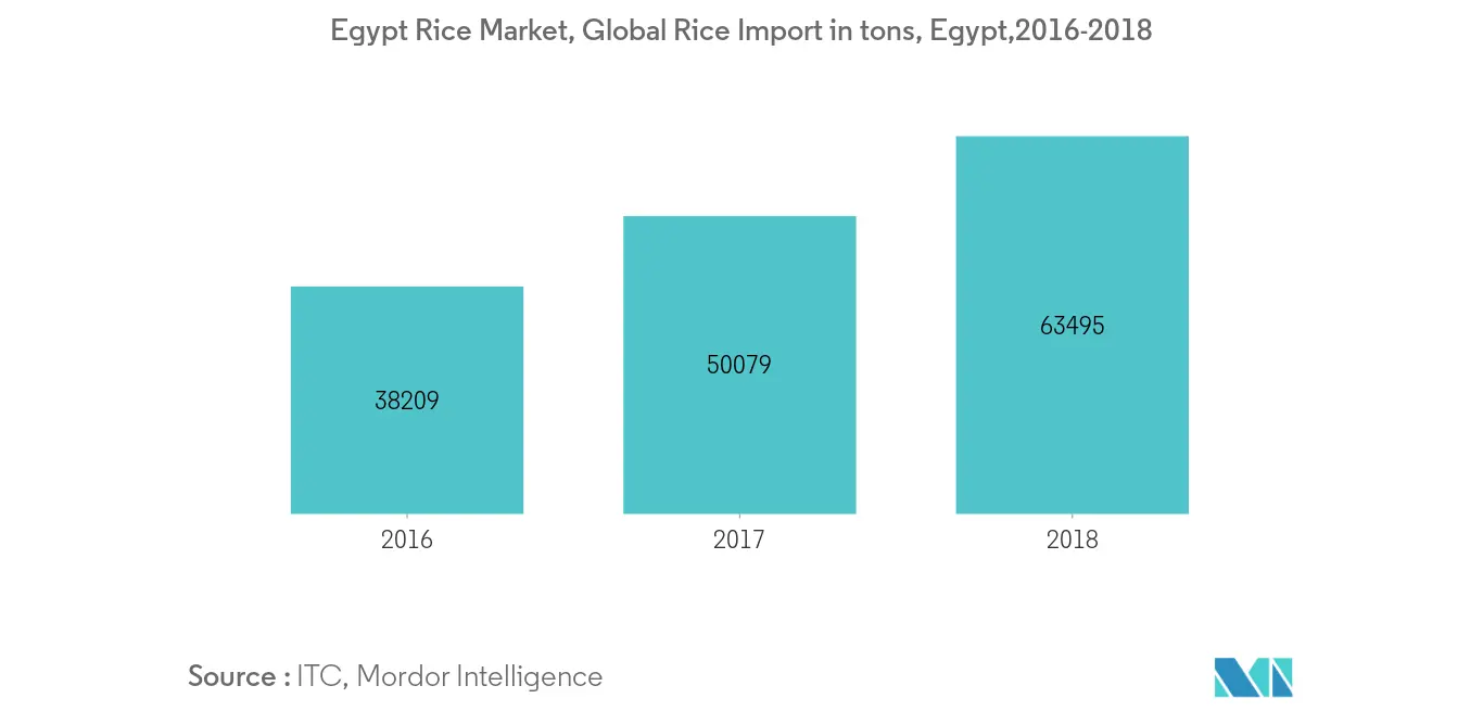 Egypt Rice Market