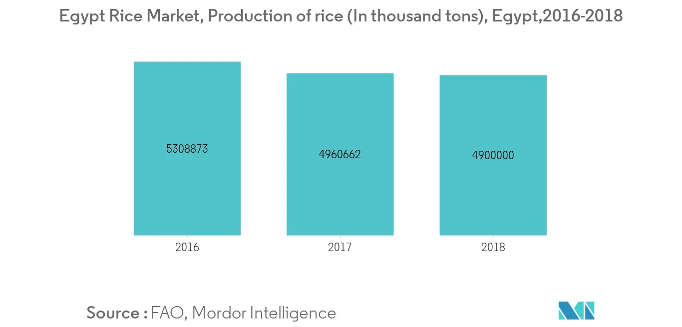 Egypt Rice Market
