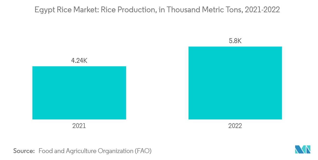 Egypt Rice Market: Rice Production, in Thousand Metric Tons, 2021-2022