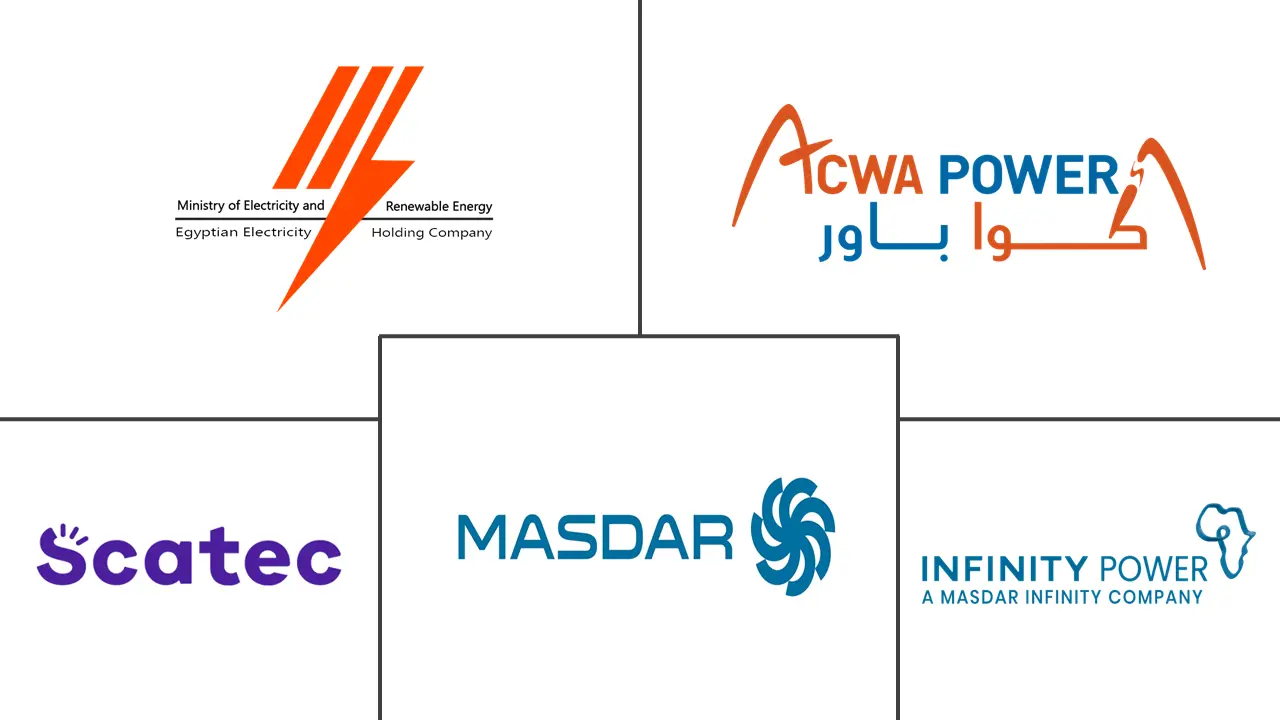 이집트 태양 에너지 산업의 주요 참여자