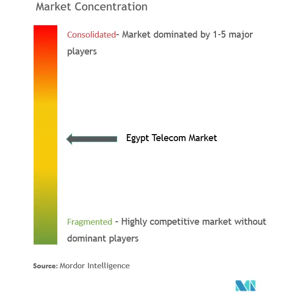 Egypt Telecom Market Concentration
