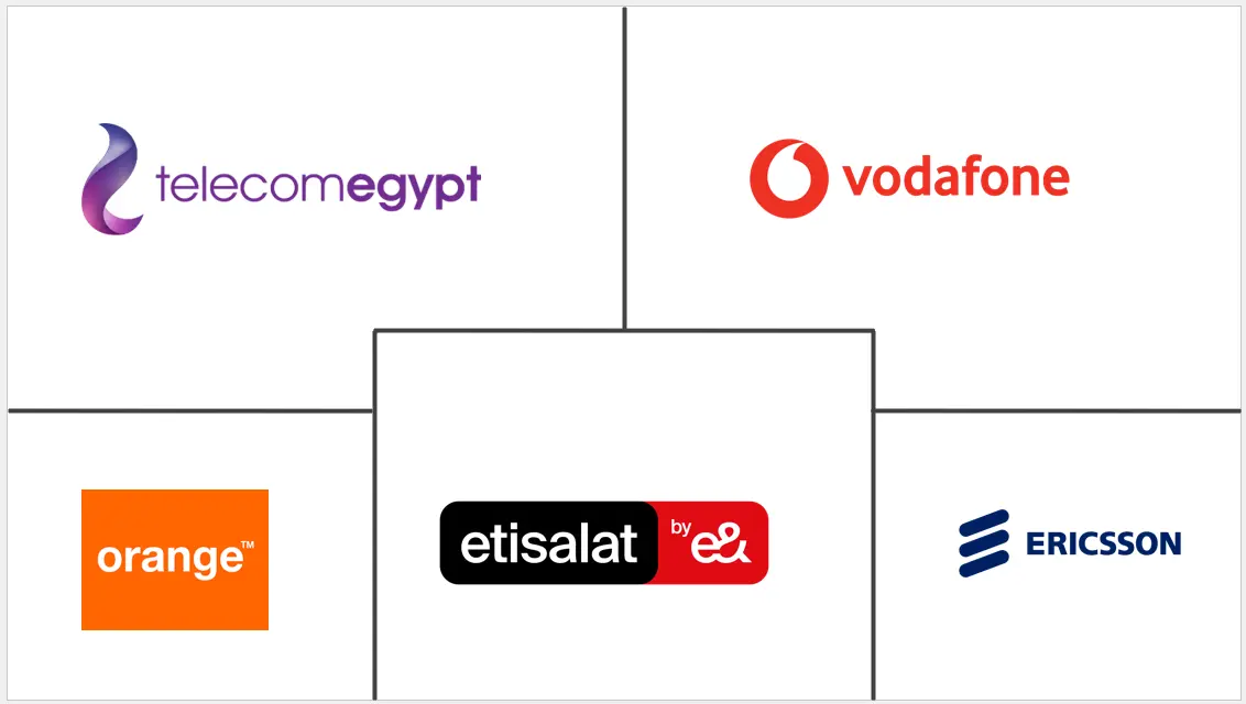 エジプト電気通信市場の主要企業