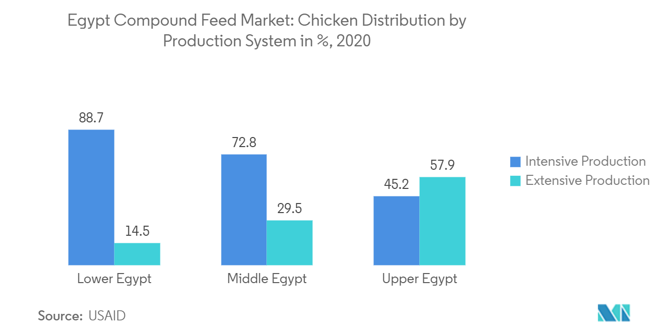 سوق الأعلاف المركبة في مصر توزيع الدجاج حسب نظام الإنتاج بنسبة ٪ 2020