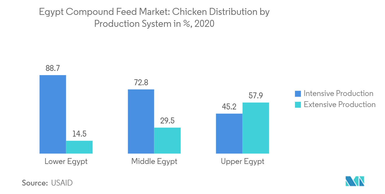 Marché égyptien des aliments composés  répartition du poulet par système de production en %, 2020