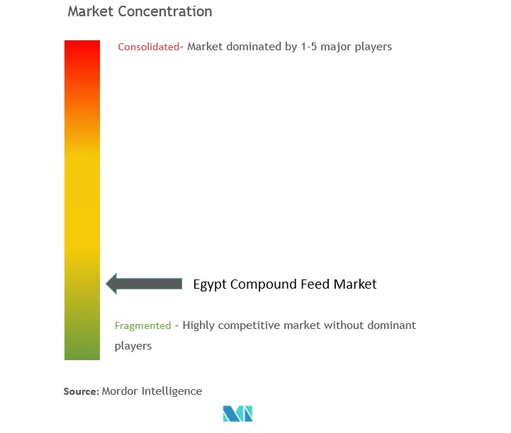 Pienso compuesto de EgiptoConcentración del Mercado