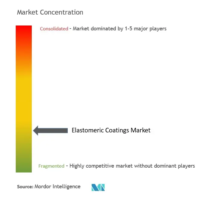 Elastomeric Coatings Market Concentration