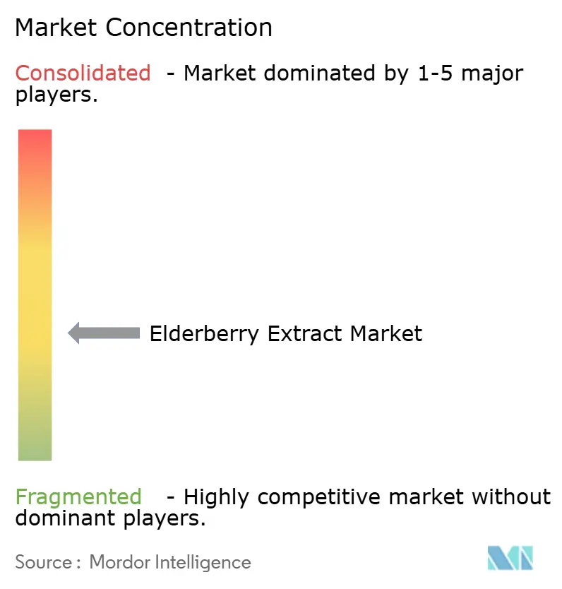 Elderberry Extract Market Concentration