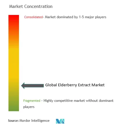 Elderberry Extract Market Concentration