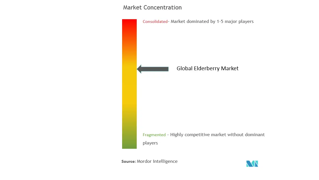 Elderberry Supplements Market Concentration