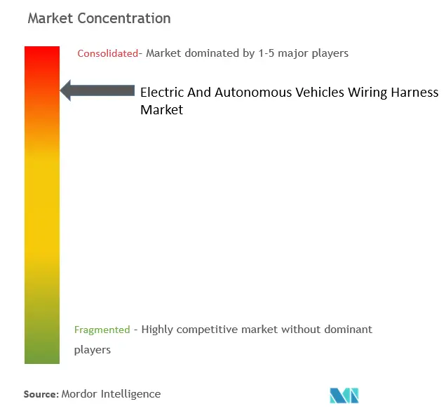 Electric and Autonomous Vehicle Wiring Harness Market Concentration