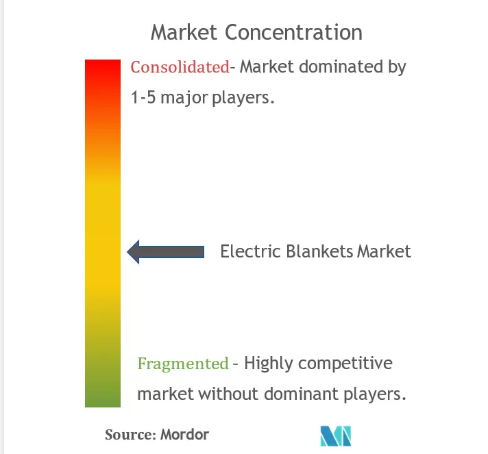 Electric Blankets Market Concentration