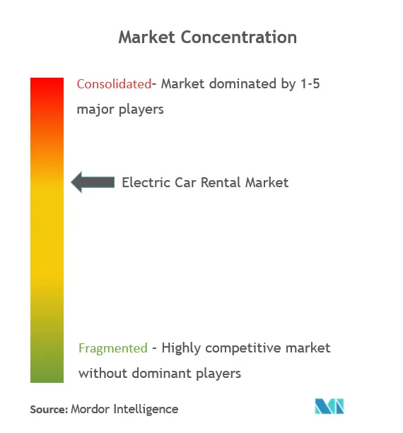 Electric Car Rental Market Concentration