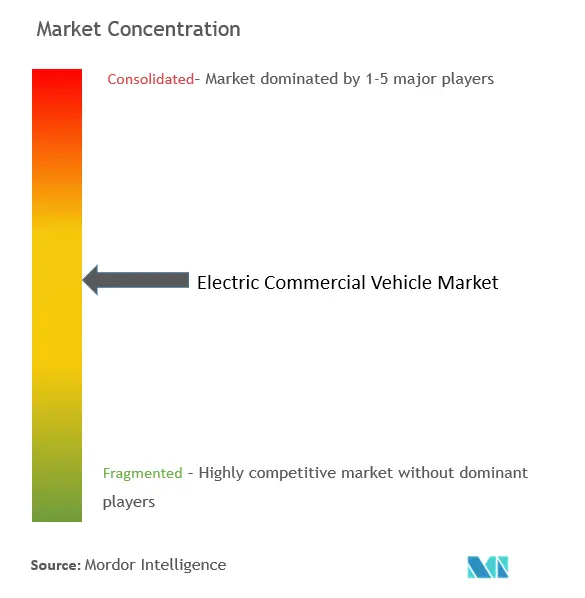 Electric Commercial Vehicle Market Concentration