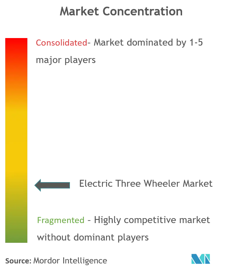Electric Three Wheeler Market Concentration