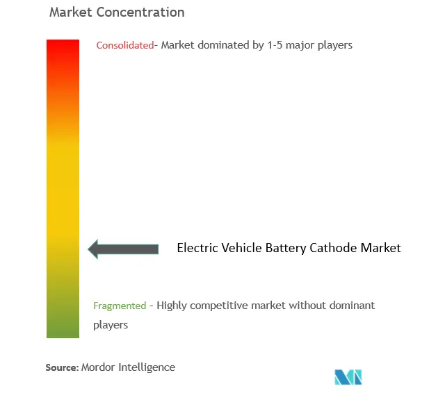 Electric Vehicle Battery Cathode Market Concentration