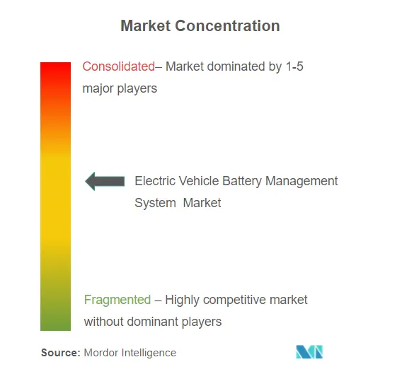 Electric Vehicle Battery Management System Market Concentration