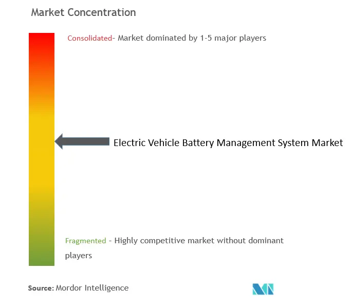 Electric Vehicle Battery Management System Market Concentration