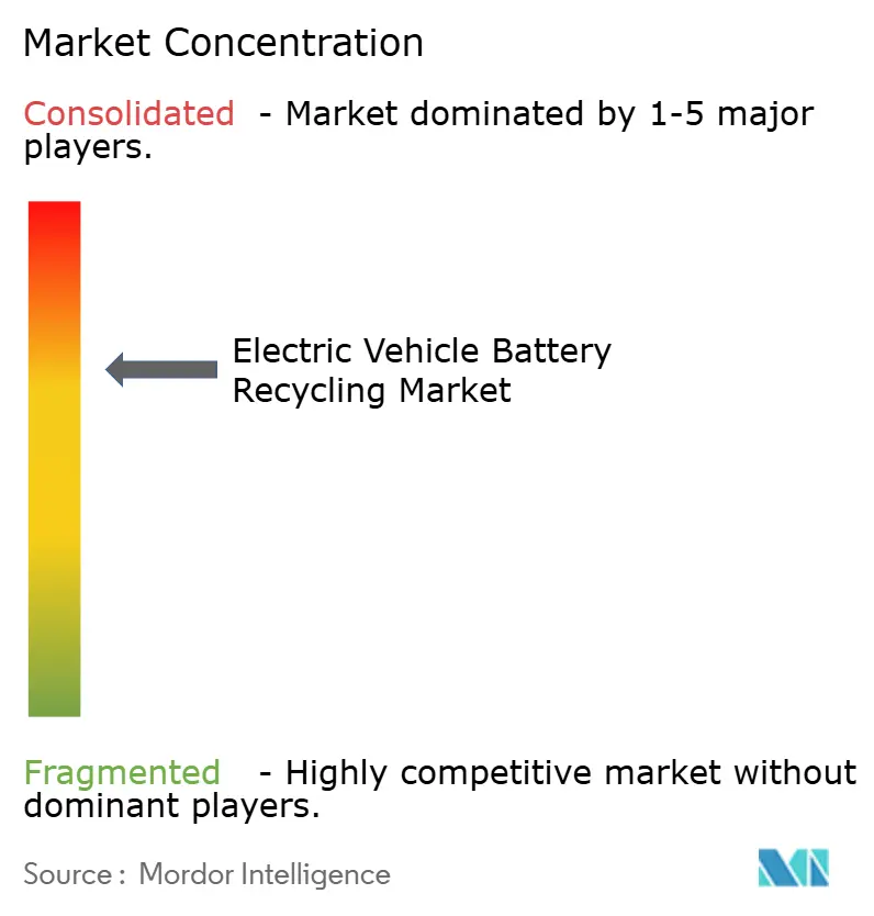 Electric Vehicle Battery Recycling Market Concentration