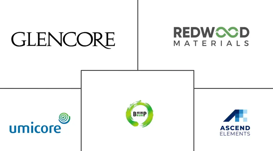 Major players in Electric Vehicle Battery Recycling industry