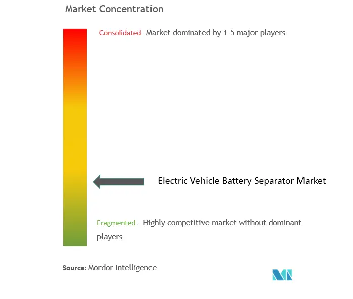 Electric Vehicle Battery Separator Market Concentration