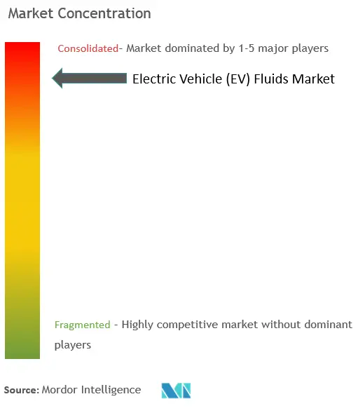 電気自動車（EV）用フルイド市場の集中度