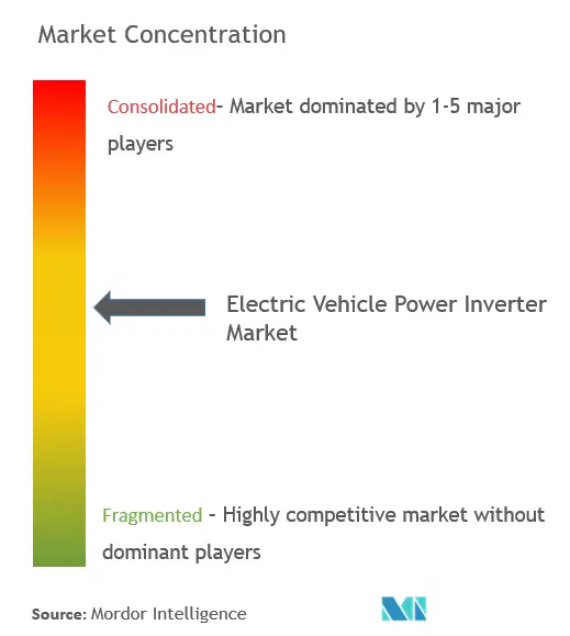 Electric Vehicle Power Inverter Market Concentration