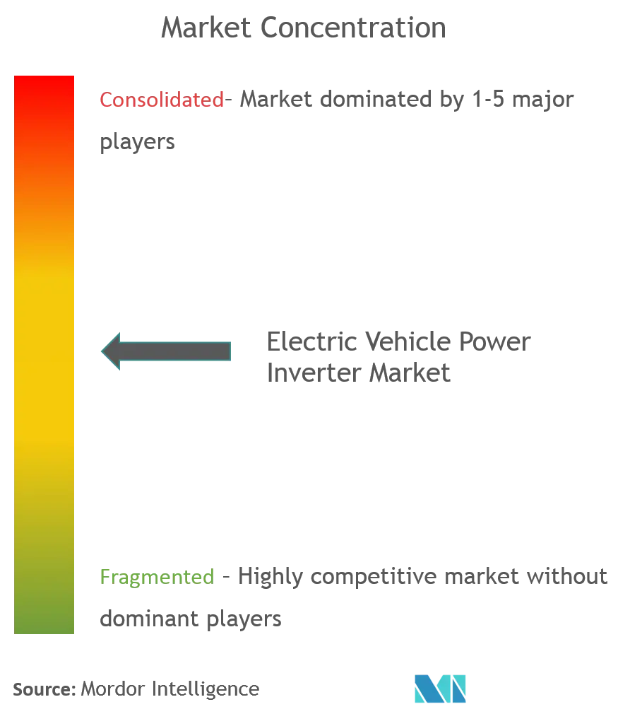 Electric Vehicle Power Inverter Market - concentration