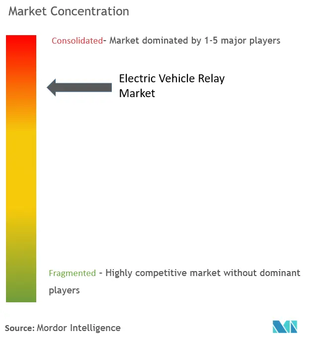 Electric Vehicle Relay Market Concentration