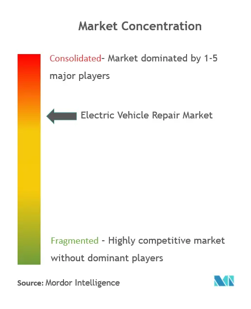 Electric Vehicle Repair Service Market Concentration