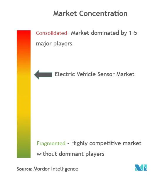 Electric Vehicle Sensor Market Concentration