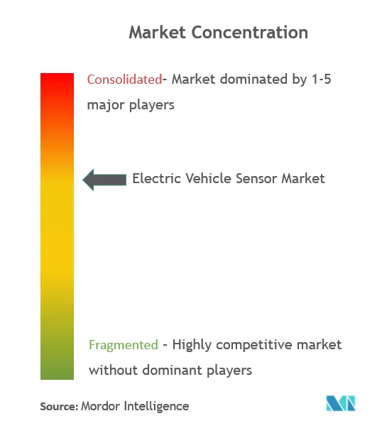 電気自動車用センサーの市場集中度