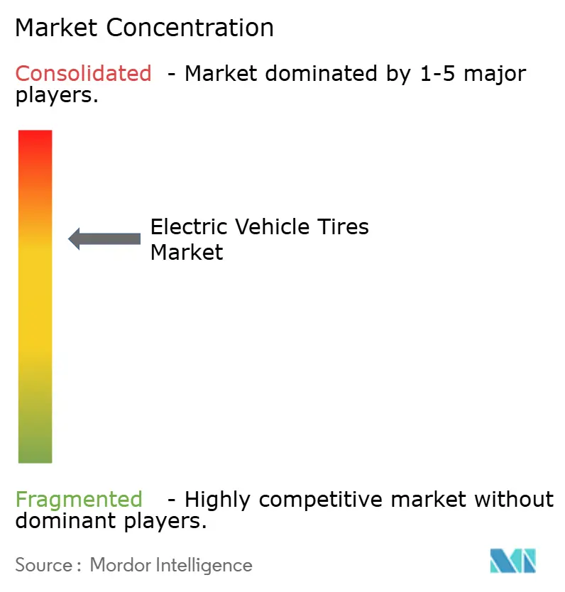 Electric Vehicle Tires Market Concentration