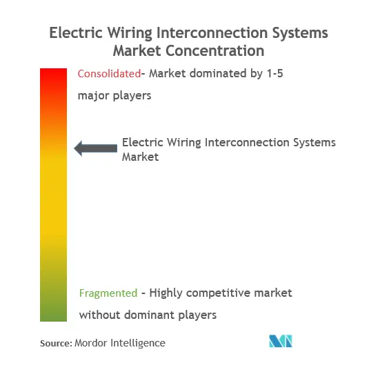 Electric Wiring Interconnection Systems Market Concentration