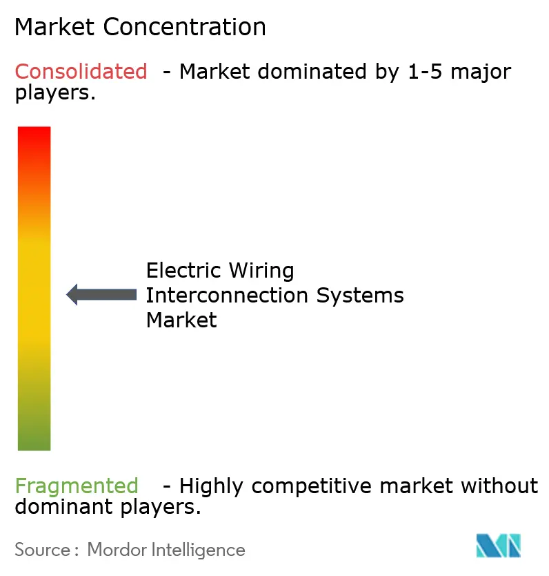 Electric Wiring Interconnection Systems Market Concentration