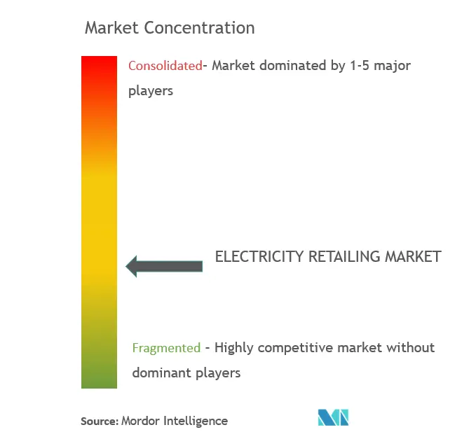 電力小売市場市場集中度