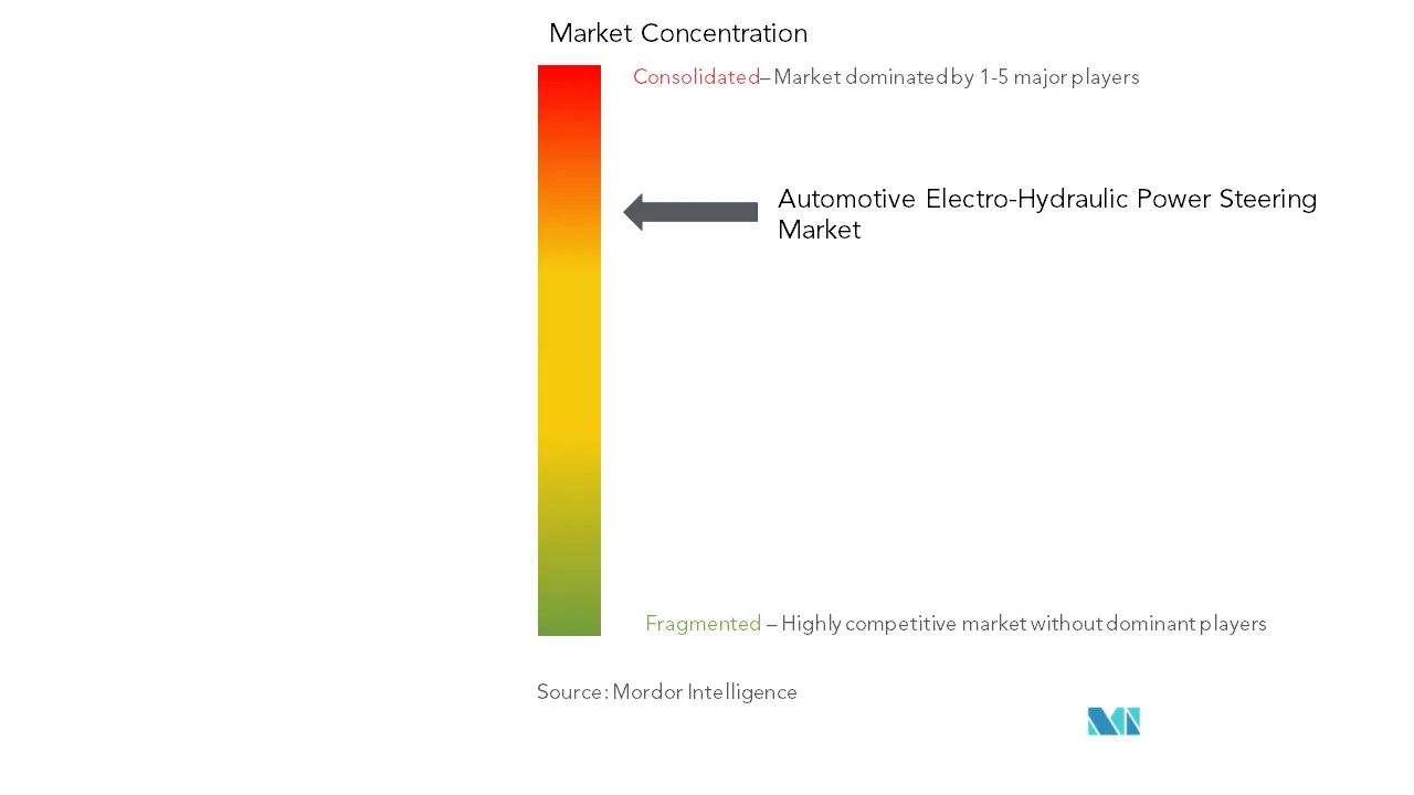 Concentración del mercado de dirección asistida electrohidráulica