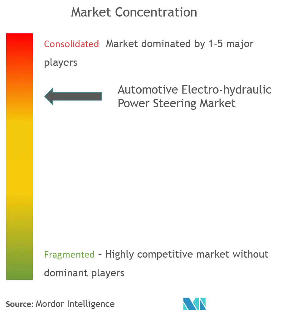 JTEKT Corporation, Nexteer Automotive Group Ltd, ZF Friedrichshafen AG, NSK Ltd, Robert Bosch GmbH