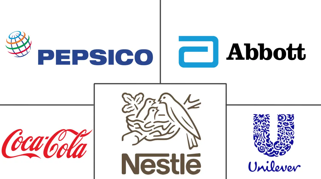 主要なプレイヤー： 電解質ミックス市場 業界