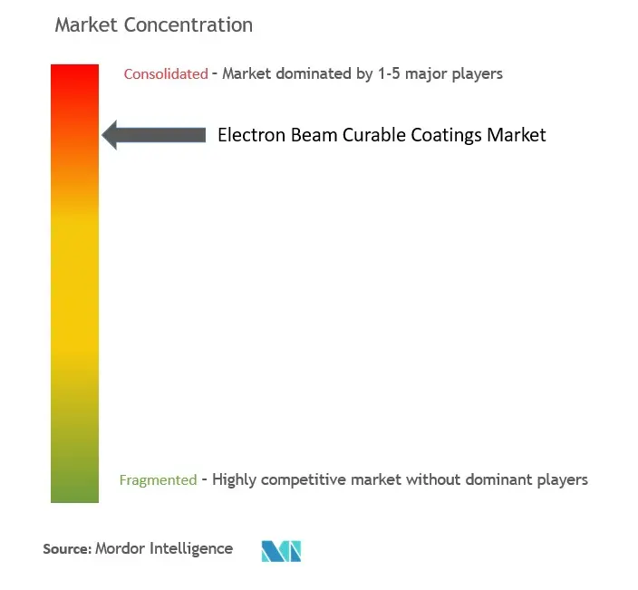 Concentração do Mercado de Revestimento Curável por Feixe de Elétrons