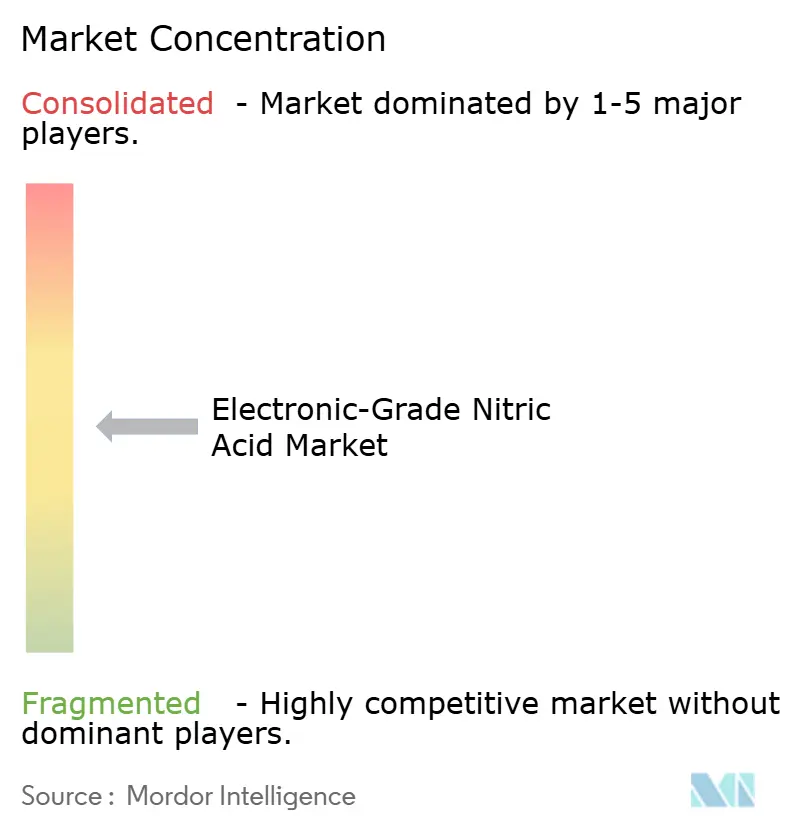 Electronic-Grade Nitric Acid Market Concentration
