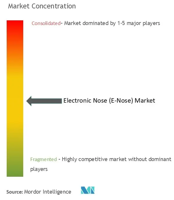 Electronic Nose (E-Nose) Market Concentration