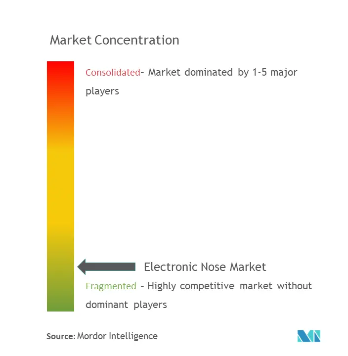 電子鼻 (E-Nose)市場集中度