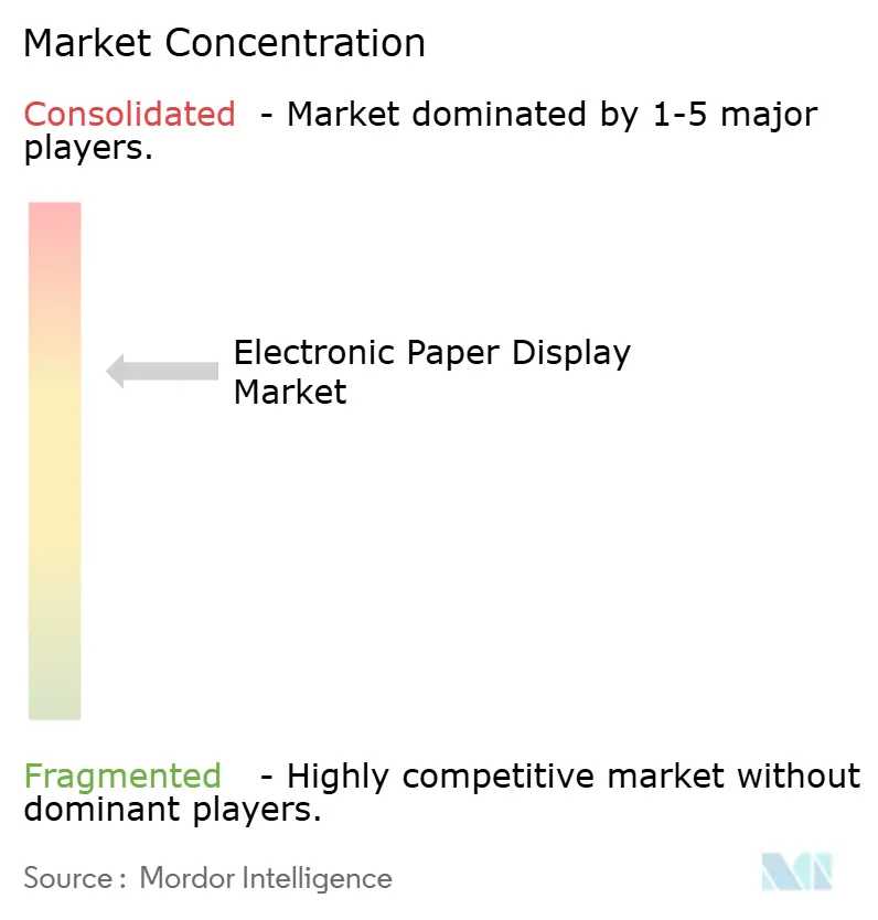 Electronic Paper Display Market