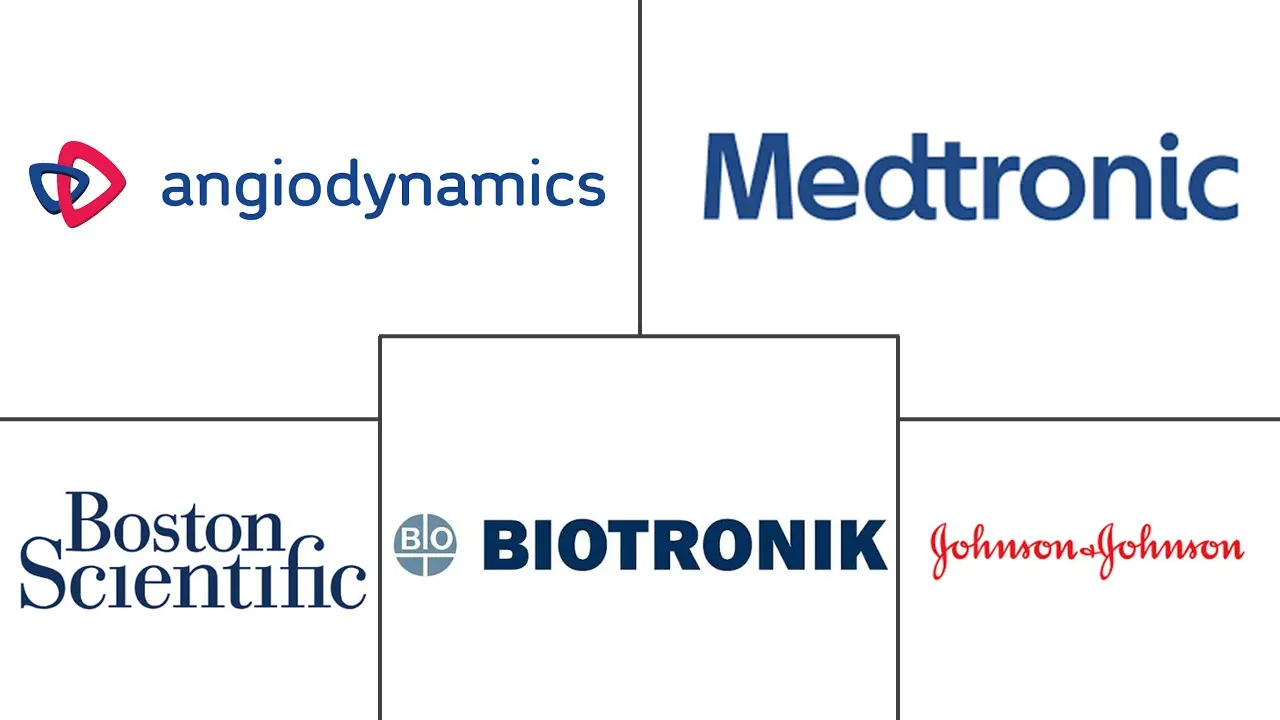 Major players in Electrophysiology Catheter Ablation industry