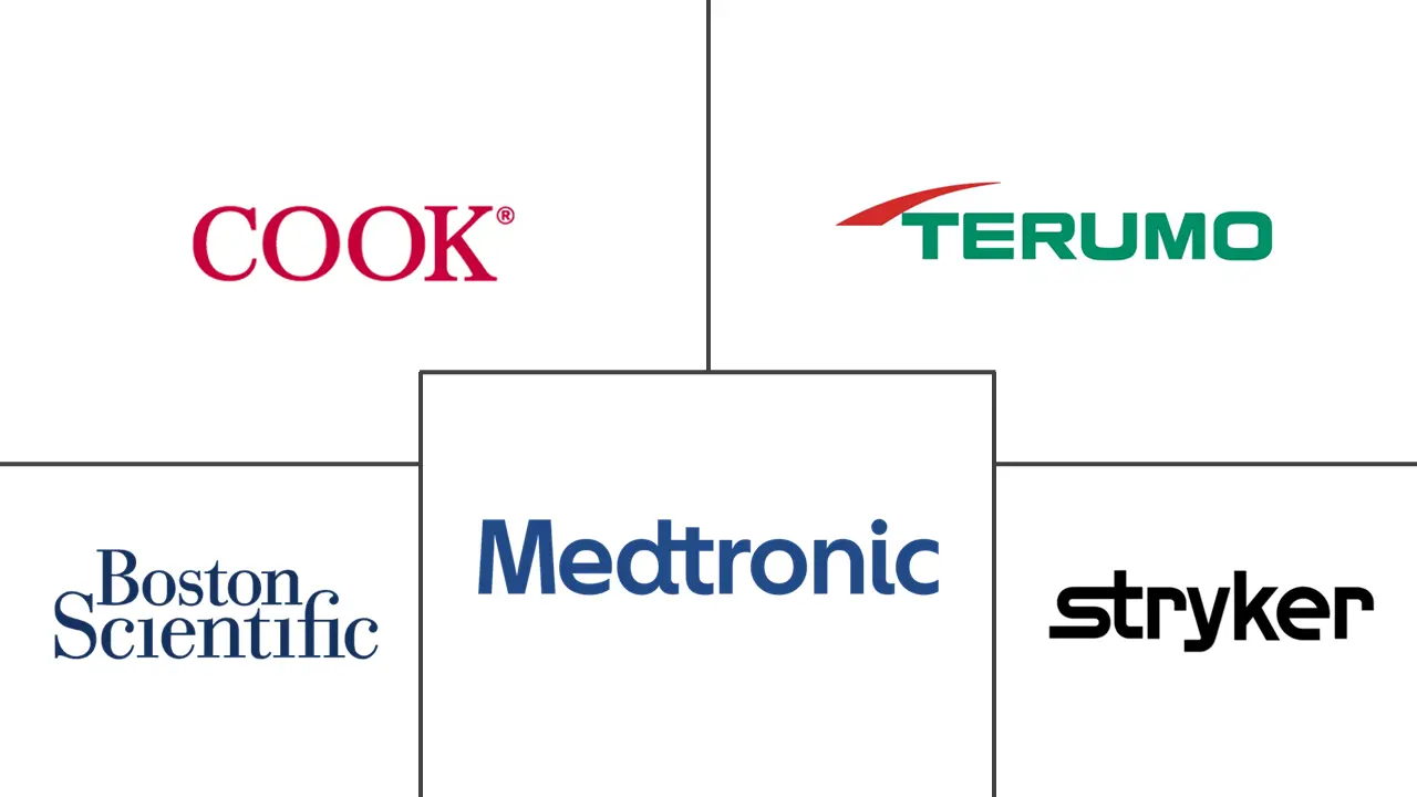 Major players in Embolization Coils industry