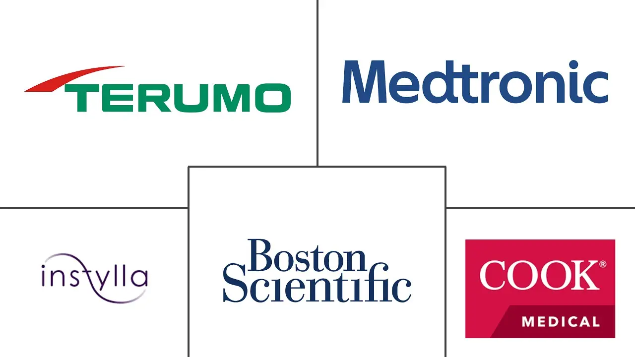 Major players in Embolization Particle industry