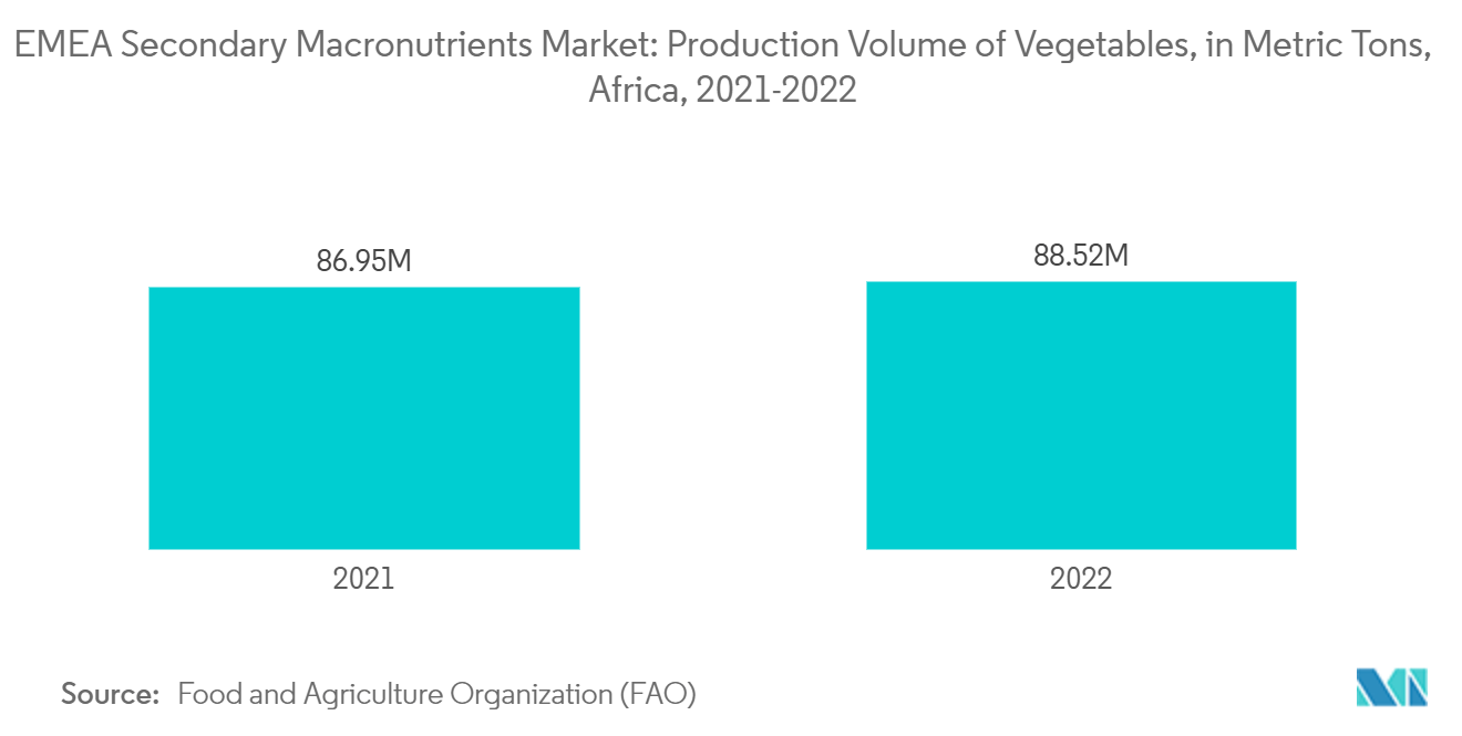 EMEA二次副栄養素市場-野菜の生産量（メトリックトン）、アフリカ、2021-2022年