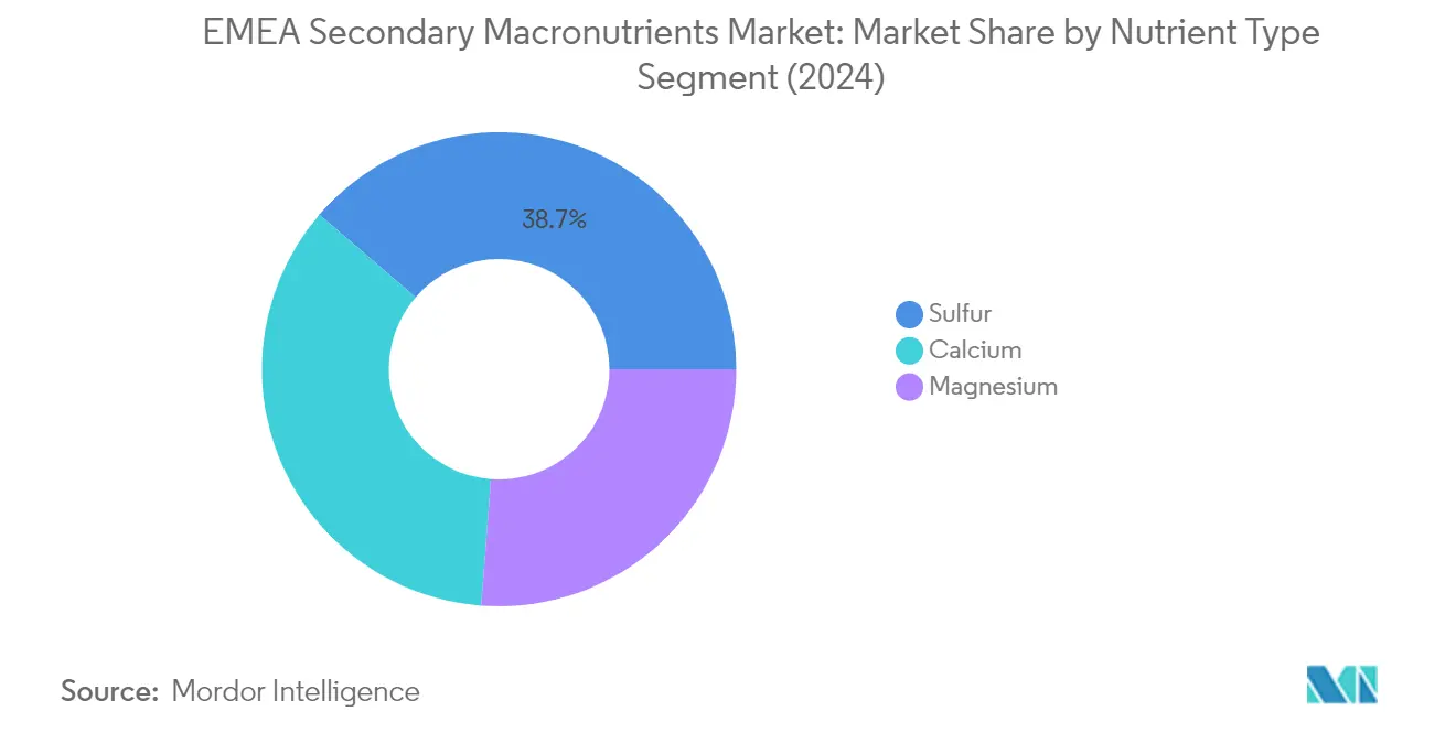 Market Analysis of EMEA Secondary Macronutrients Market: Chart for Nutrient Type